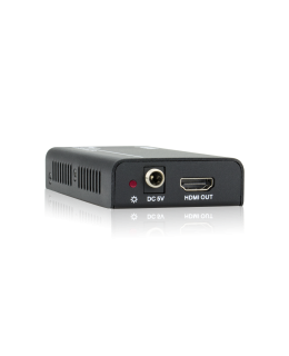 Digichain IPM12 streaming video extender